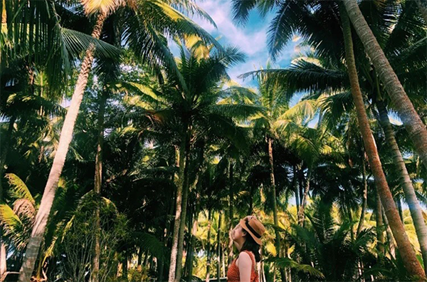 K8���� - ����Ӯ�ҡ�һ������