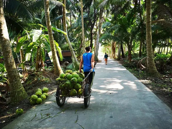 K8���� - ����Ӯ�ҡ�һ������