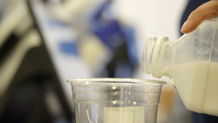 K8���� - ����Ӯ�ҡ�һ������