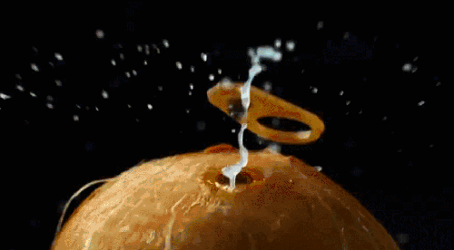 K8���� - ����Ӯ�ҡ�һ������