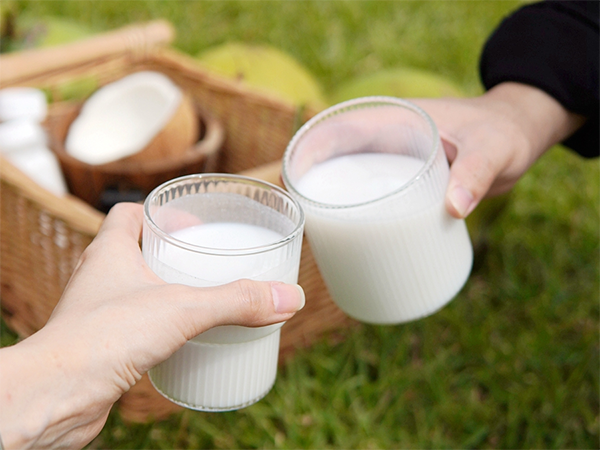 K8���� - ����Ӯ�ҡ�һ������