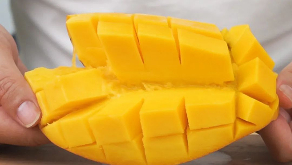 K8���� - ����Ӯ�ҡ�һ������