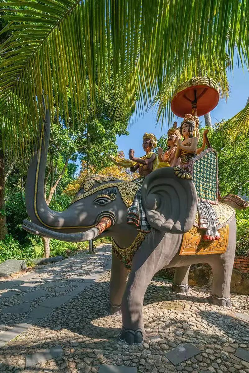 K8���� - ����Ӯ�ҡ�һ������