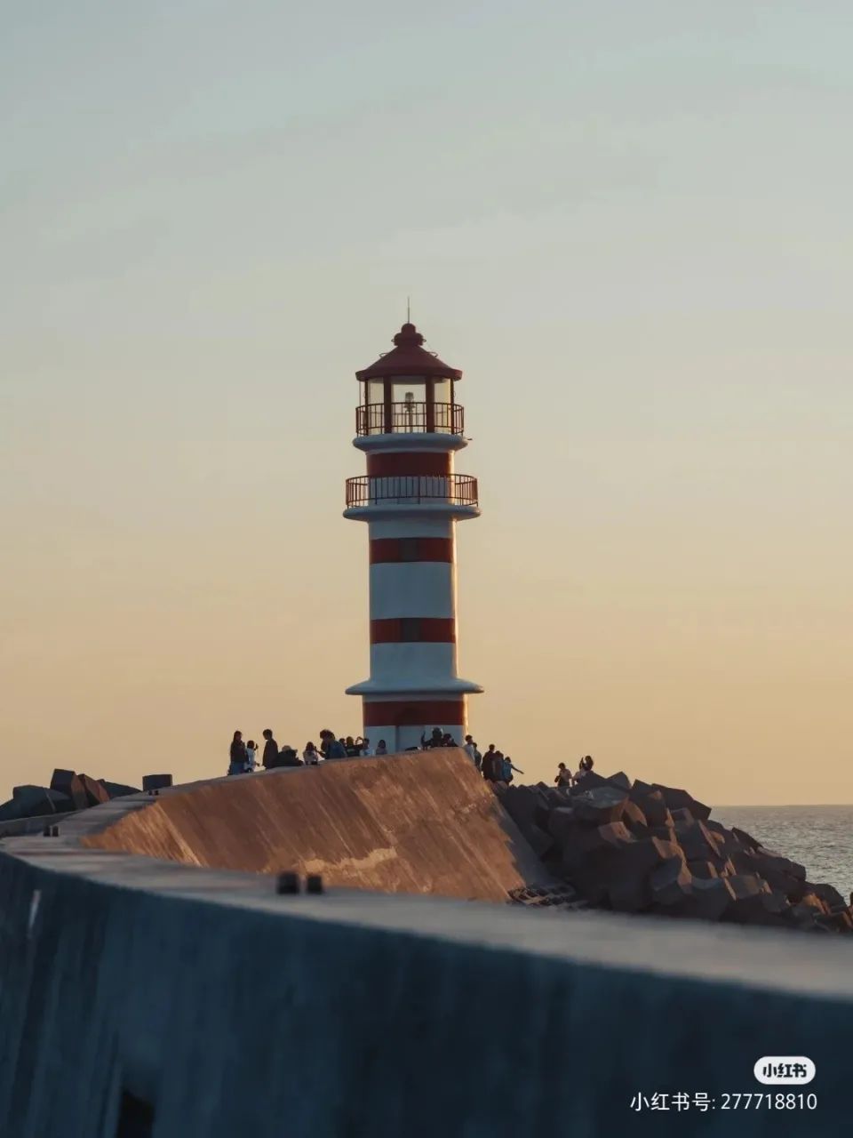 K8���� - ����Ӯ�ҡ�һ������