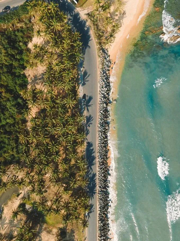 K8���� - ����Ӯ�ҡ�һ������