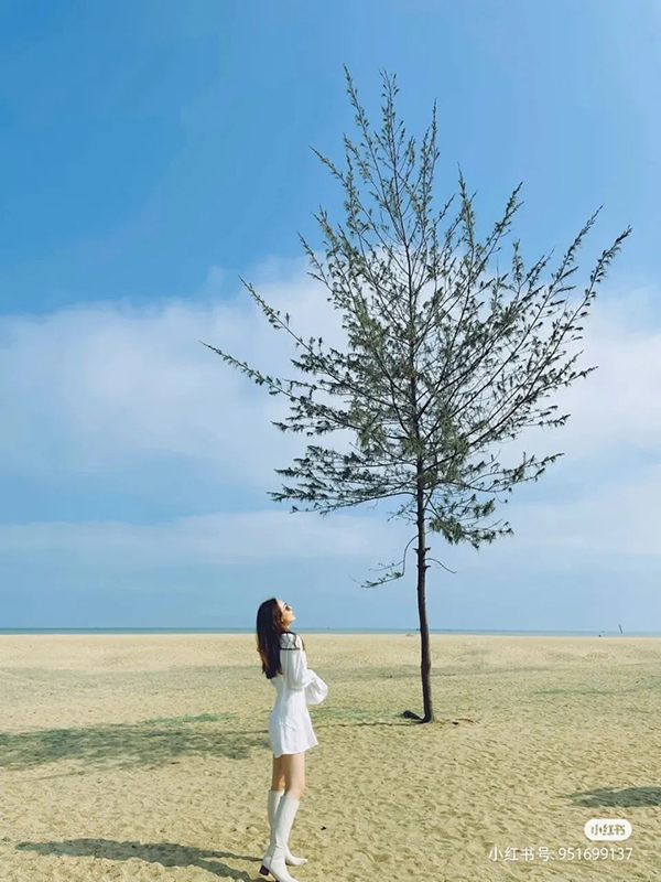 K8¹ÙÍø - ÌìÉúÓ®¼Ò¡¤Ò»´¥¼´·¢