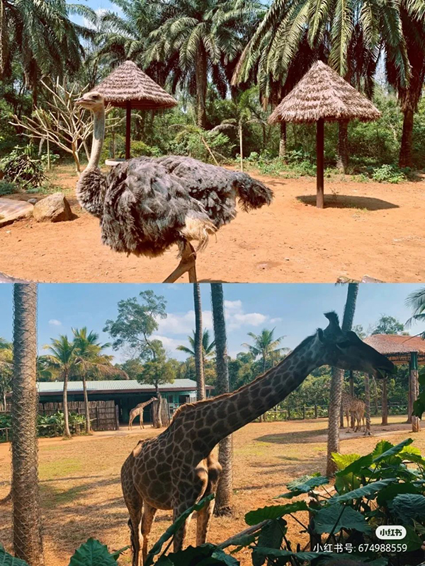 K8¹ÙÍø - ÌìÉúÓ®¼Ò¡¤Ò»´¥¼´·¢