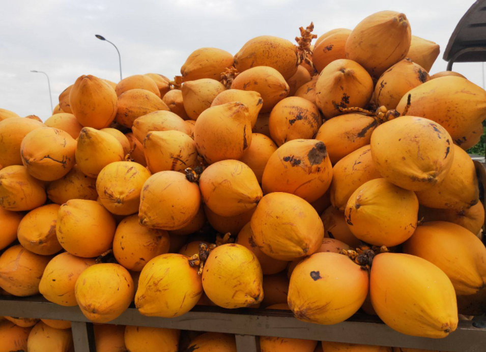 K8官网 - 天生赢家·一触即发